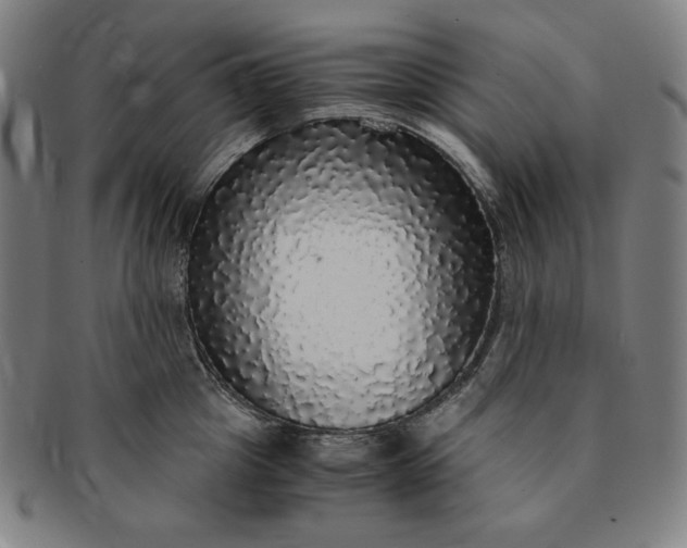 X0000091200857200708231529