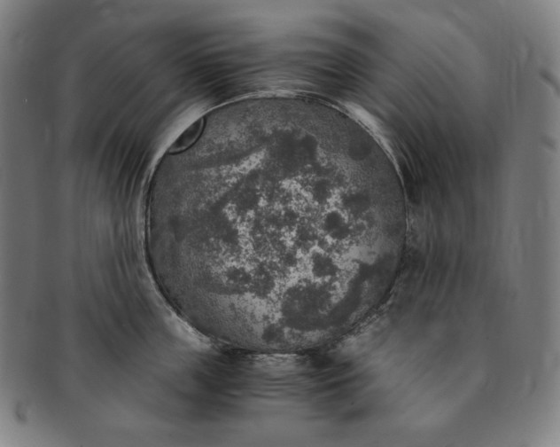 X0000091200859200708231529