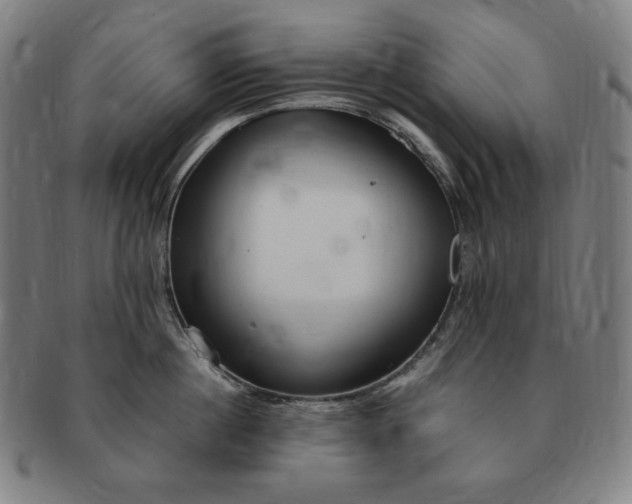 X0000091200860200708231529