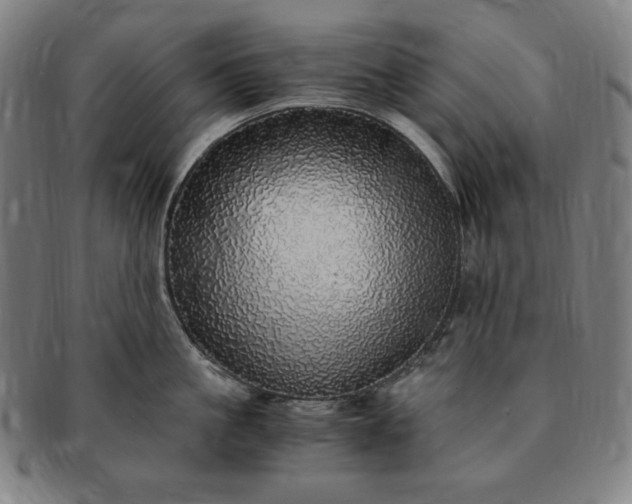 X0000091200861200708231529