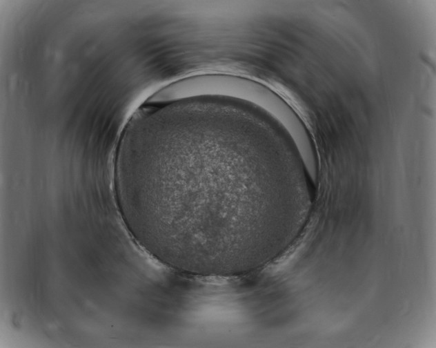 X0000091200862200708231529