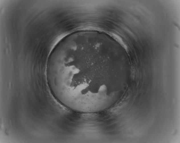 X0000091200863200708231529