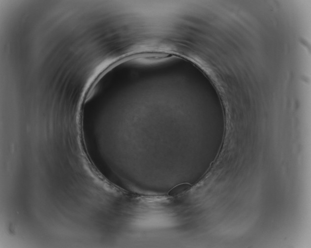 X0000091200864200708231529