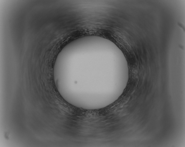 X0000091200865200708231528