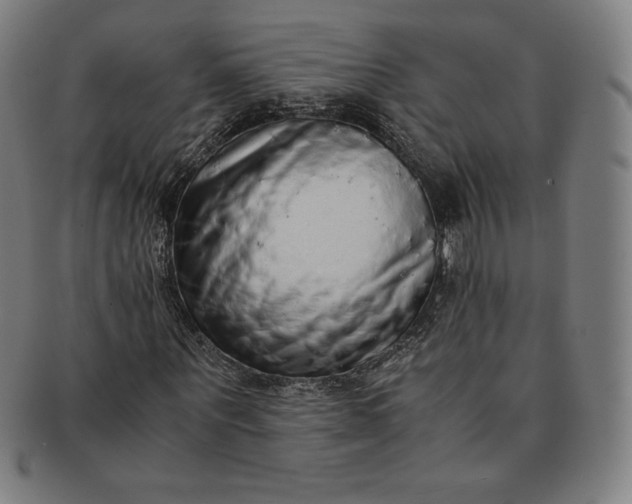 X0000091200867200708231528