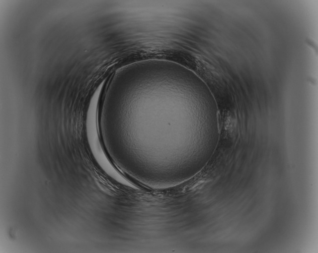 X0000091200868200708231528