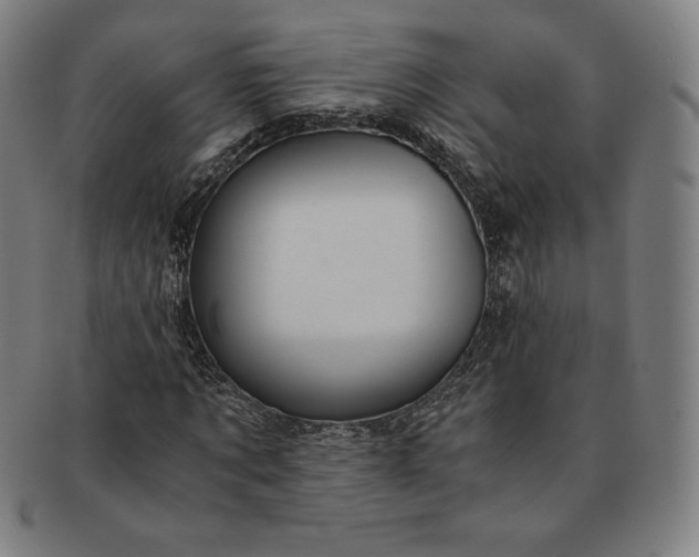 X0000091200869200708231528