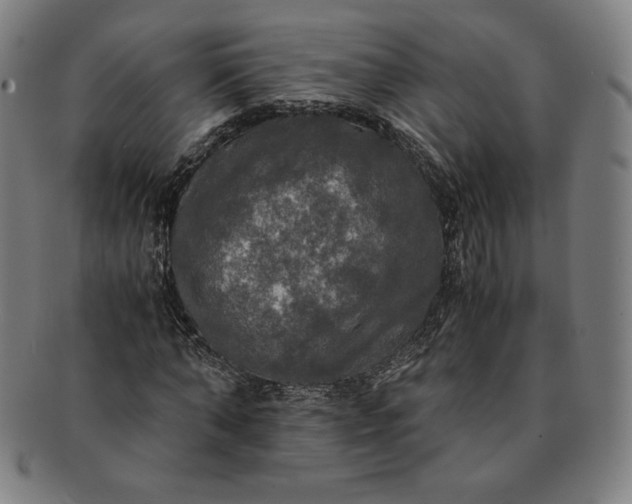 X0000091200870200708231528