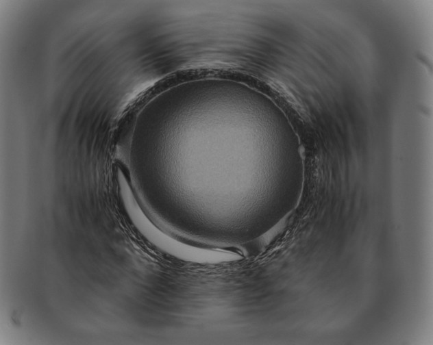 X0000091200872200708231528
