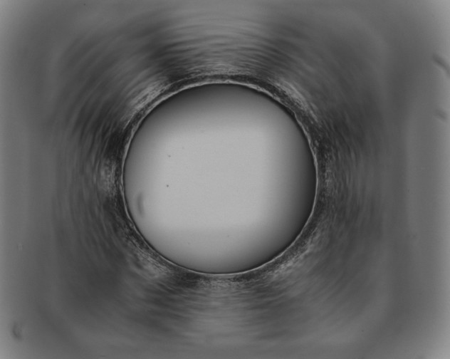 X0000091200873200708231528