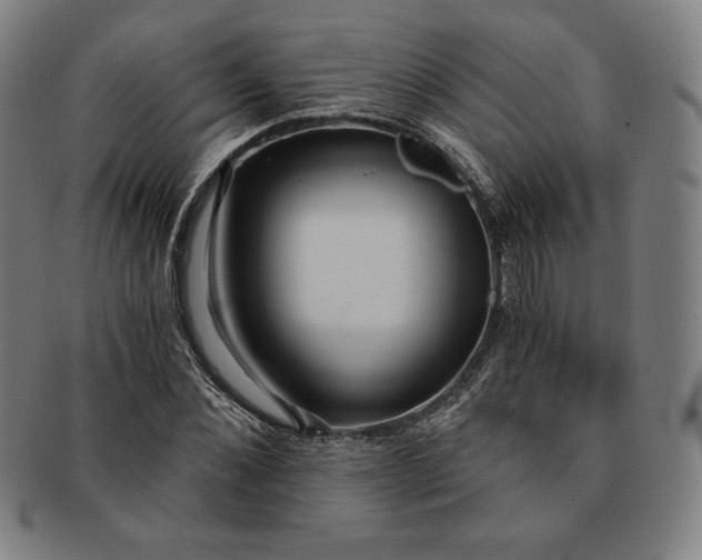 X0000091200876200708231528