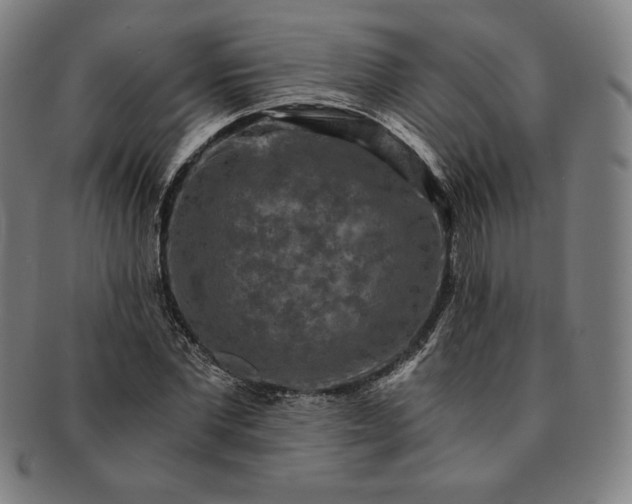 X0000091200877200708231528