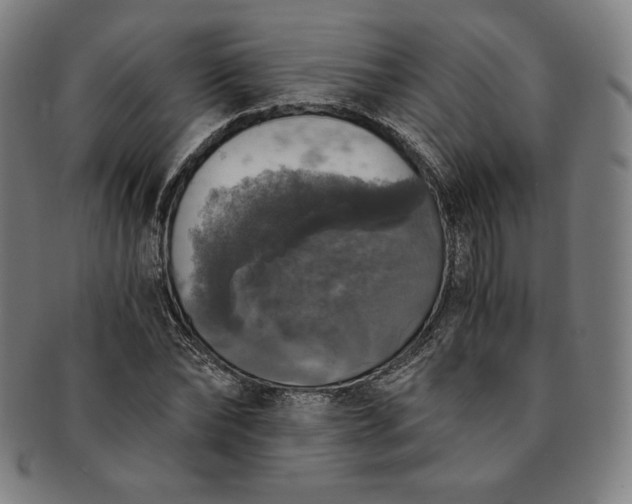 X0000091200878200708231528