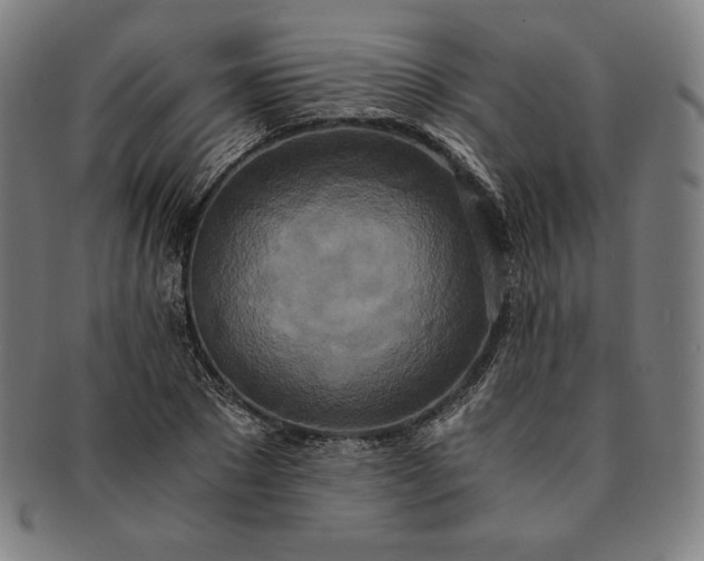 X0000091200881200708231528