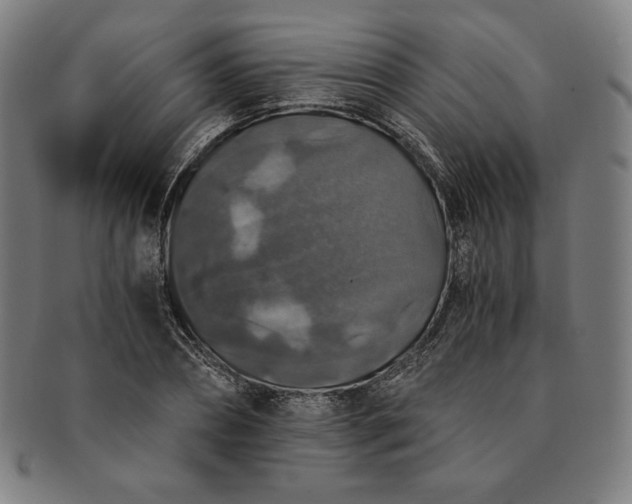 X0000091200882200708231528
