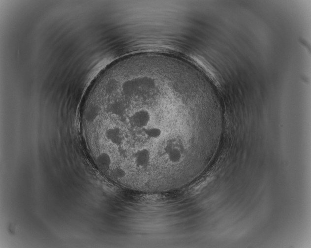 X0000091200883200708231528