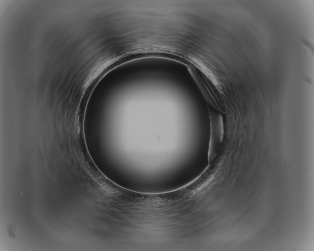 X0000091200885200708231528