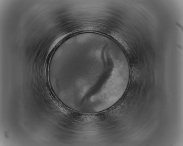 X0000091200886200708231528