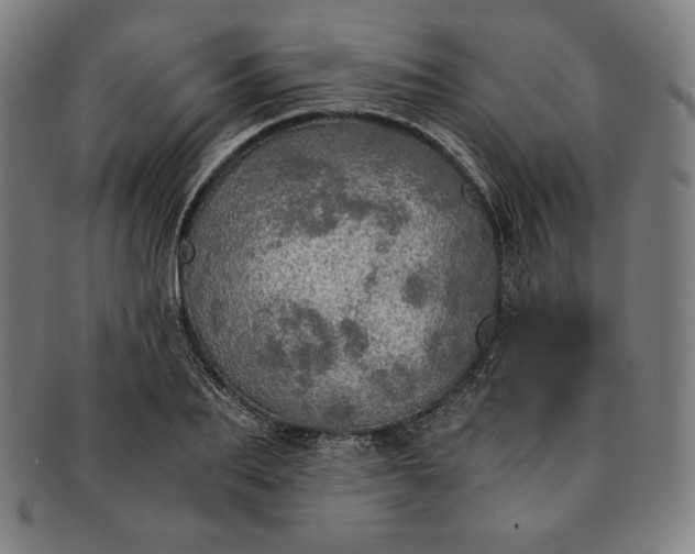 X0000091200887200708231528