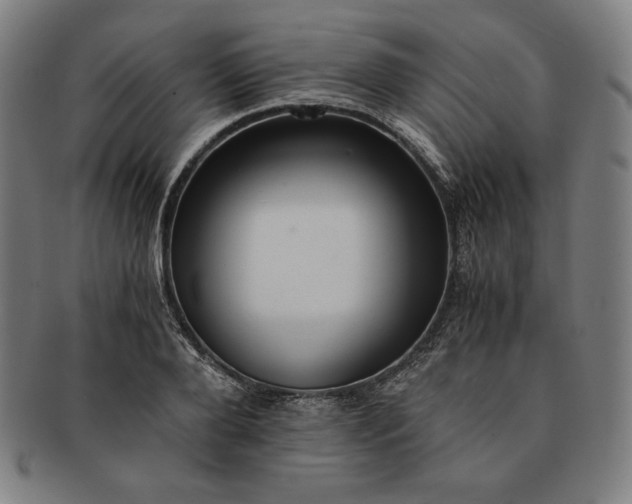X0000091200888200708231528