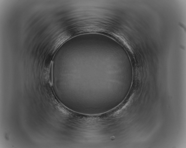X0000091200889200708231528