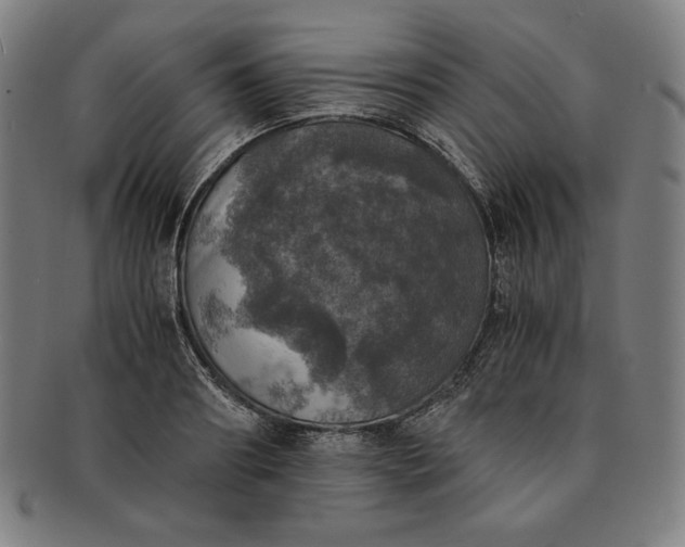 X0000091200890200708231528
