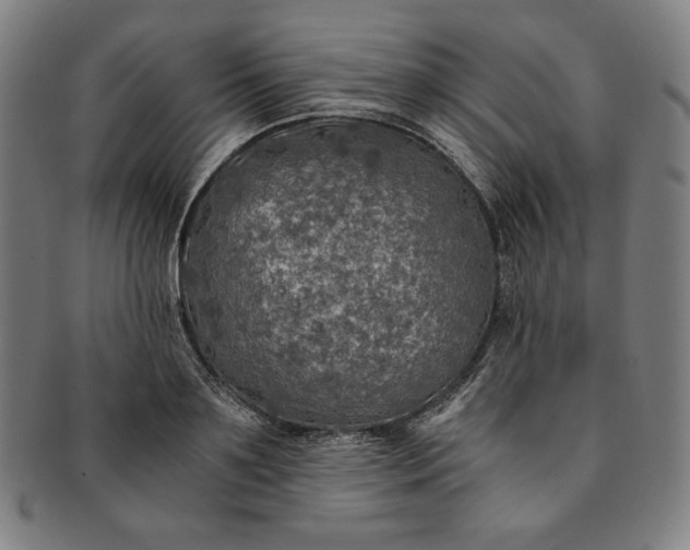 X0000091200891200708231528
