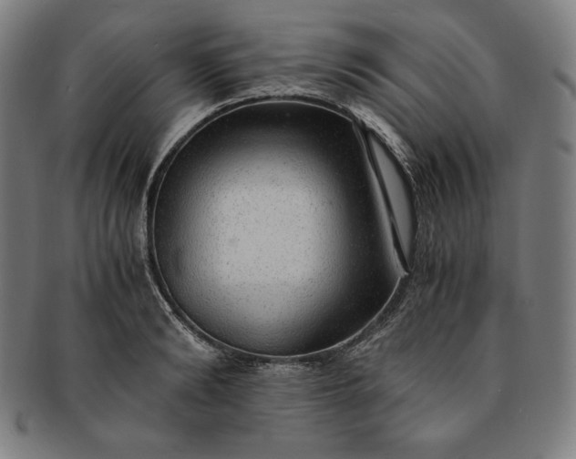 X0000091200894200708231528