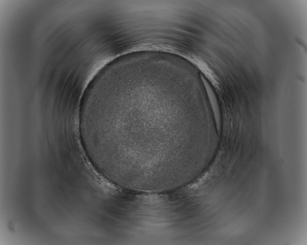 X0000091200896200708231528