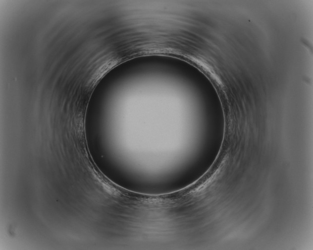 X0000091200897200708231528