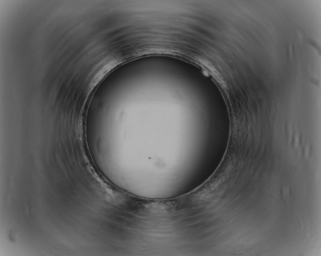 X0000091200898200708231528