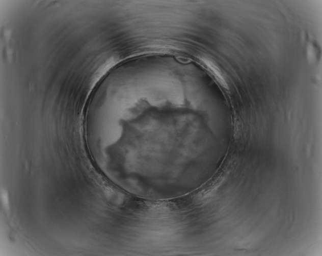 X0000091200899200708231528