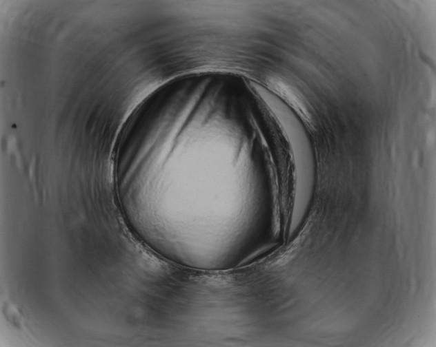 X0000091200900200708231528