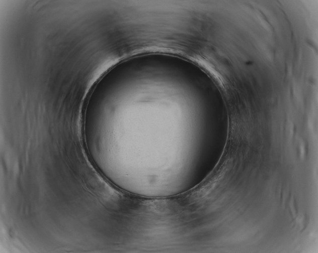 X0000091200902200708231528
