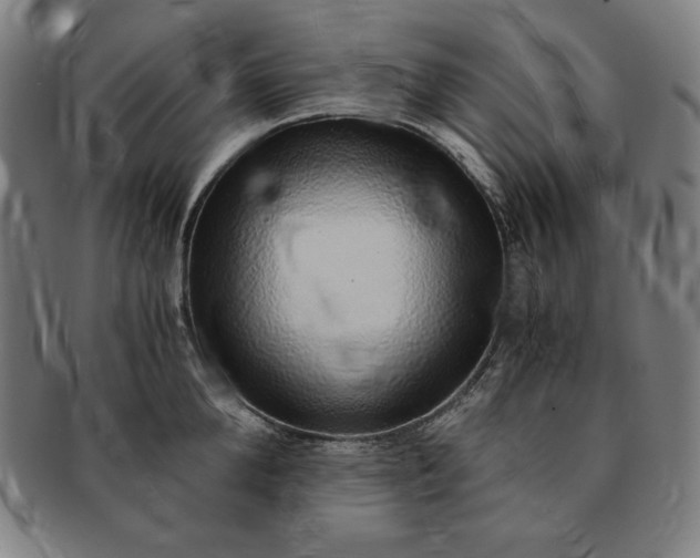 X0000091200904200708231528