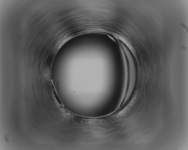 X0000091200905200708231528
