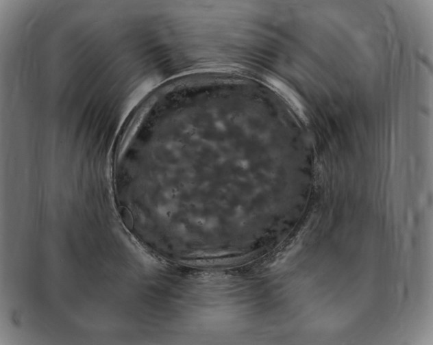 X0000091200907200708231528