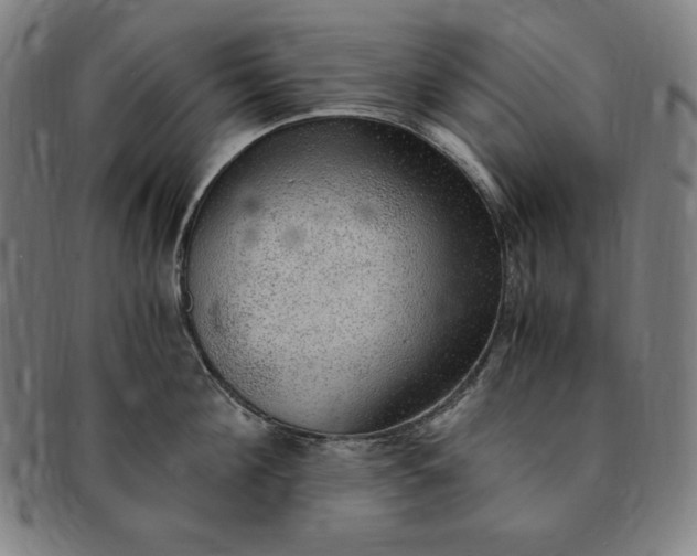 X0000091200908200708231528