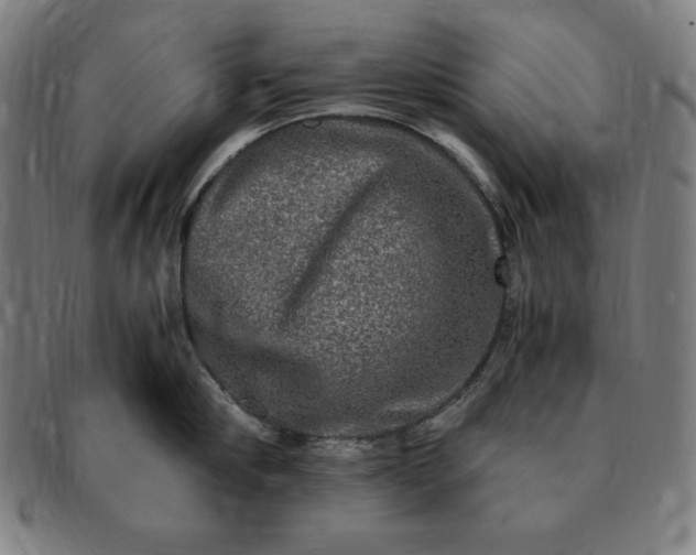 X0000091200910200708231528