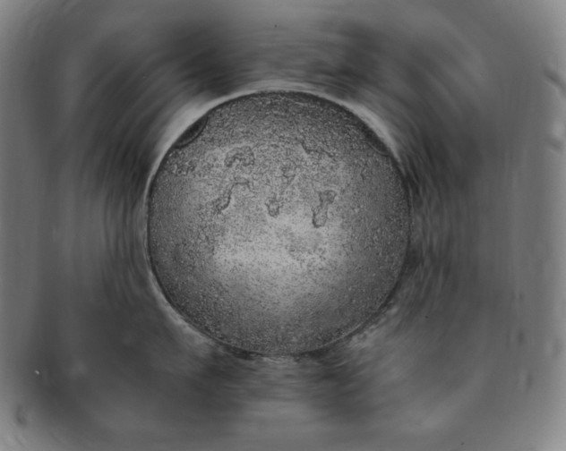 X0000091200911200708231528