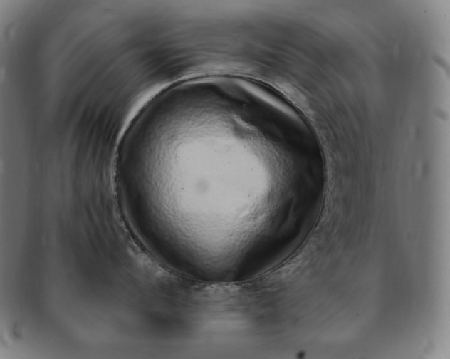 X0000091200912200708231528