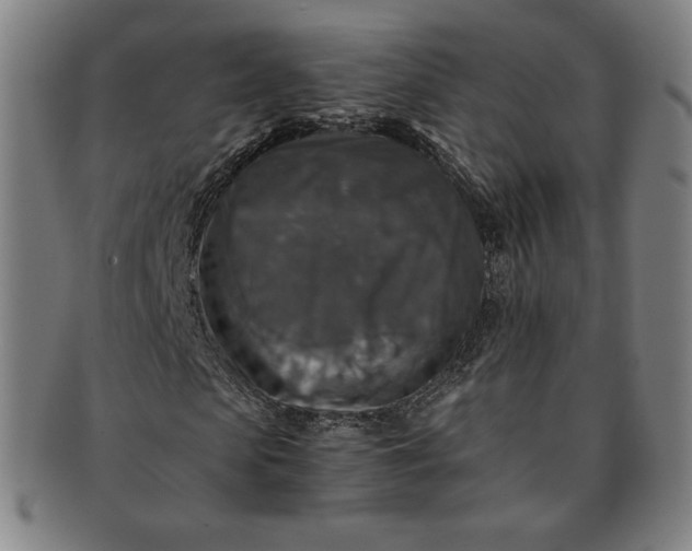 X0000091200913200708231527