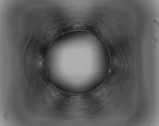 X0000091200914200708231527
