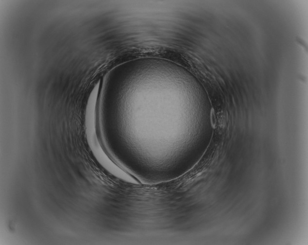 X0000091200916200708231527