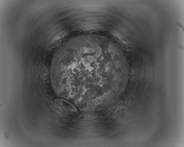 X0000091200917200708231527