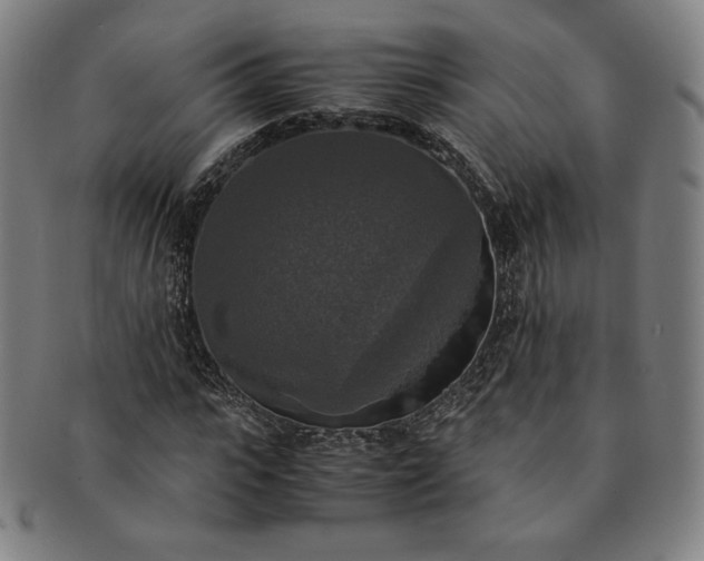 X0000091200919200708231527