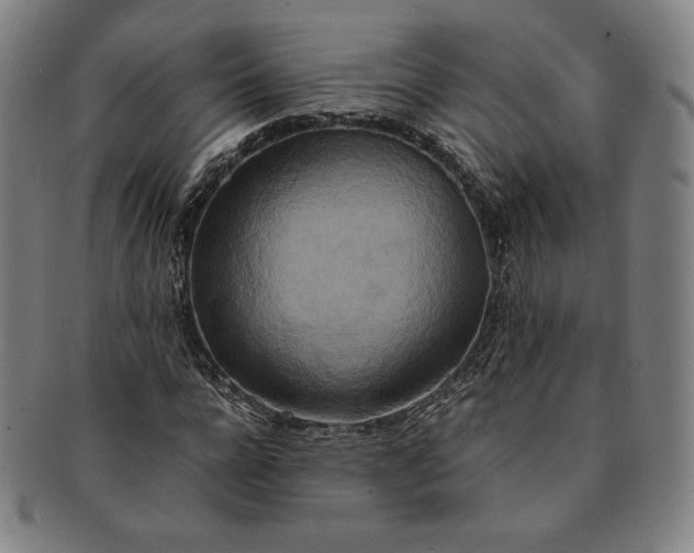 X0000091200920200708231527