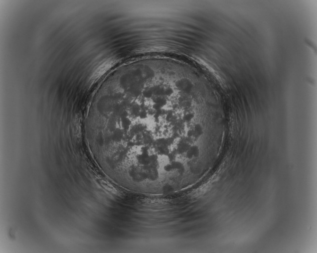X0000091200921200708231527