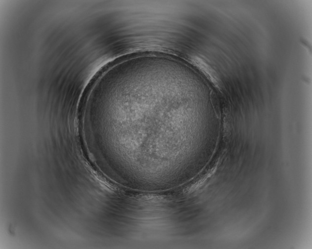X0000091200924200708231527