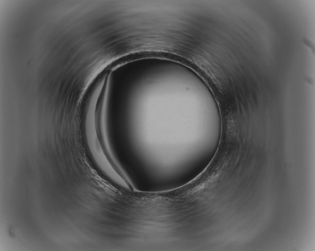 X0000091200926200708231527